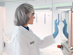 Gerhardt malaysia sdn bhd is the subsidiary of c. History Atotech