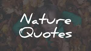 15 top most popular rumi quotes : 135 Nature Quotes
