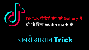 Whether you're a sports fanatic, a pet enthusiast, or just looking for a laugh, there's something for everyone on tiktok. Tik Tok Video Download Online Free And Without Watermark
