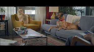 Other consumer accounts may also be eligible. Wells Fargo Home Mortgage Tv Commercial Lulu And Lobo Ispot Tv