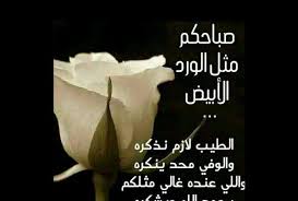 شعر صباح الحب و20 رسالة وخاطرة رومانسية لترسلها إلى من تحب Obi