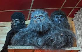 Expedition: Bigfoot!' in Blue Ridge is a cryptic theme-park, museum