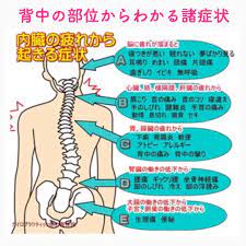 写真の説明はありません comic book cover books comic books