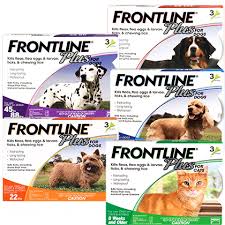 frontline plus for dogs cats 100 satisfaction