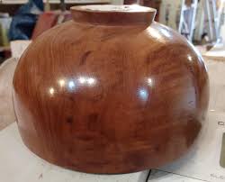 Image result for Xylia torreana