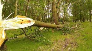 Făcăeni is located near the borcea branch of the river danube and the national road 3 b (dn 3 b). FurtunÄ PuternicÄ La FÄcÄeni JudeÅ£ul IalomiÅ£a Este Singura Localitate Din Romania AfectatÄ De O TornadÄ Galerie Foto Video