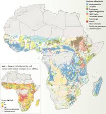 Everett, wa animal control news clip: Challenges Of Sustainable Agriculture In Developing Countries Springerlink