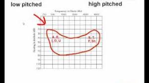 The next time you have a hearing test, you don't have to be bewildered by the audiogram you are given. How To Read An Audiogram Watch This Video Before You Buy Hearing Aids Youtube