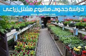 مشروع مشتل تكلفة مشروع مشتل مشروع مشتل اشجار مشروع مشتل زراعي السعودية مشروع مشتل ورد خطوات انشاء مشتل عمل مشتل منزلي تصميم مشت Plant Nursery Plants Cafe Decor
