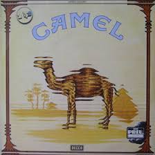 The flight of the snow goose one day high above the horizon appears the familiar shape of the great white bird. Camel Mirage The Snow Goose A Compilation Boxed Set Release By Camel Artist Band