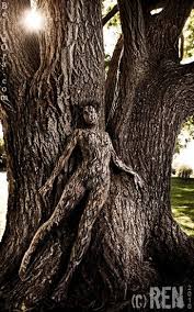 Tree Body Painting Body Painting Body Art Painting Human Canvas