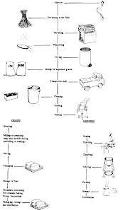 Corn Flakes Flow Chart Www Bedowntowndaytona Com