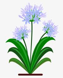 ** a flower in bloom is the. Transparent Flower Pdf Hd Png Download Kindpng