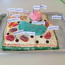 Maybe you would like to learn more about one of these? Plant Cell Cake Model Plant Cell Cake Edible Cell Project Plant Cell Cake Model