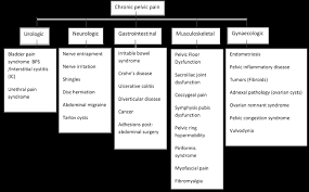 An Odyssey Through Chronic Pelvic Pain In Women