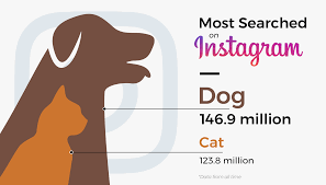 Well, now we have the answers! Cats V Dogs Are Cats Or Dogs More Popular Pond Planet