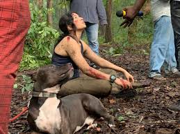 Sunainaa Shares Bts Video Of Being Attacked By A Pitbull Dog During Trip Tamil Movie News Times Of India Vet checked, 6 week vaccination, dewormed. pitbull dog during trip