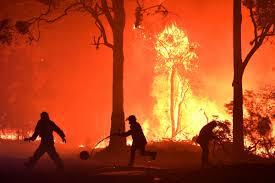 How To Help The Victims Of Australia S Wildfires Australia Fire Fly To Australia
