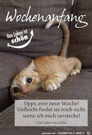 So ähnlich wie youtube, nur mit allen arten von dateien (bilder pps, videos). Lustiges Bild 39 Upps Jpg 39 Eine Von 1459 Dateien In Der Kategorie 39 Guten Morgen Bilder 39 Auf Funpot Animals Animals And Pets Pets