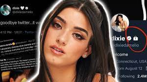 Check spelling or type a new query. Dixie D Amelio Defends Herself Against Twitter Haters Hollywire Youtube