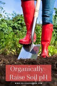 Soil ph over 7.8, iron, zinc, phosphorus deficiencies are common. How To Organically Raise Ph In Soil Kellogg Garden Organics