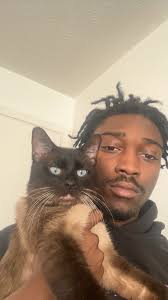 Is this someone's cat?? Seen at the apartments at 2406 green valley road,  new Albany. Very friendly!