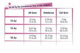 12 24 ay boy kilo kiz bebek bilgi kilo