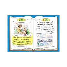 Check spelling or type a new query. Plansa Ortograma S Au Cuvantul Sau