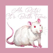 Brand New Ah Rats It S Bath Time Rat Shampoo Rat Rats Ratfood Rattreats Rattie Ratsofig Ratsofinstagram Ratsoftwitter Ratt Pet Rats Rats Rat Care