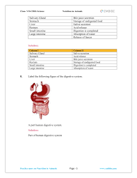 Ncert Solutions For Class 7 Science Chapter 2 Nutrition In