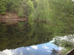 Det är viktigt för oss att vi ska bevara vår natur. Kopparhatten Omdomen Soderasens National Park Tripadvisor