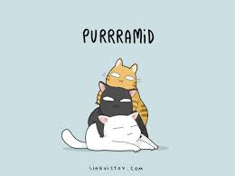 8 Cat Puns That Will Put A Smile On Your Face Cute Puns Cat Puns Funny Puns