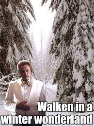 Christopher Walken Kaylie Macdonald Wilson This Makes Me Think Of You And I M Not Surre Why Christmas Humor Funny Pictures Walken