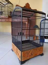 Asingkan burung dan jangan lupa untuk selalu mengkerodongi sangkar. Tips Memilih Sangkar Burung Kicau Sangkar Sangkar Burung Burung