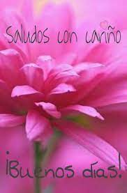 Pin En Imagenes De Buenas Noches