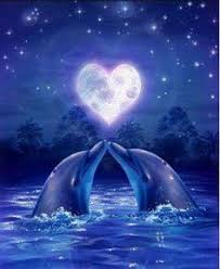 We did not find results for: Cute Wallpaper Dolphins New Wallpapers