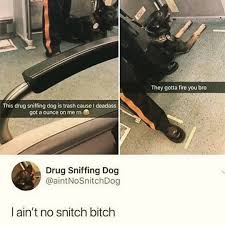 45 snitch memes ranked in order of popularity and relevancy. The Dog Ain T No Snitch Album On Imgur