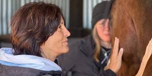 Regulate & Restore: Mindfulness with Horses