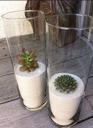 Target/household essentials/meal prep glass containers (932)‎. Tall Glass Containers Can Be Filled With Sand And A Small Decorative Succulent For An Attractive Earth Remedy Succulents Diy Plants Succulents