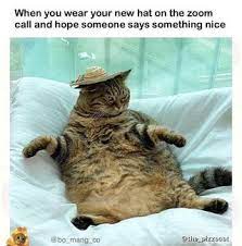 When You Wear Your New Hat On The Zoom Call And Hope Someone Says Something Nice Popular Wholesome Memes On The Si Zoom Call Say Something Nice Say Something