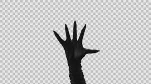 Creepy Hand Png Free Creepy Hand Png Transparent Images 32715 Pngio Use these free open hand png black and white #8570 for your personal projects or. creepy hand png transparent images