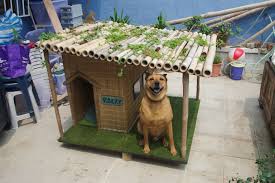 tropical dog house album on imgur dog house diy dog house plans tropical dog houses
