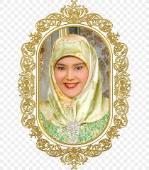 The house of bolkiah is the ruling royal family of brunei darussalam.it is composed of the descendants of the 1st sultan sultan muhammad shah and his family. Princess Majeedah Bolkiah Brunei Royal Highness Royal Family Wedding Png 625x939px 2018 Brunei Anniversary Green Hair