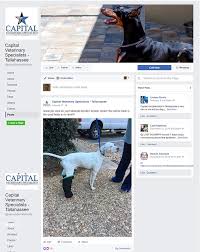Find out what works well at at home veterinary care from the people who know best. Capital Veterinary Specialists Tallahassee Vet