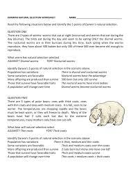 Worms that eat at night (nocturnal). Darwin S Natural Selection Worksheet Answers