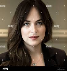 Don johnson hi-res stock photography and images