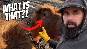 This never gets easier…, Yesterday's video