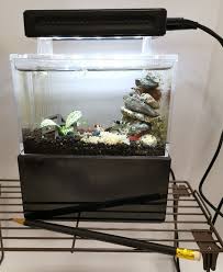Your desk aquarium stock images are ready. Micro Mini Aquarium For Office Desk Pet Supplies For Fish Fish Tanks On Carousell