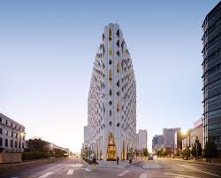 Image result for Populus