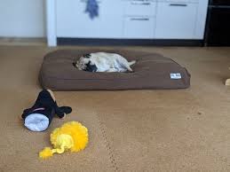 yogibo ヨギボー の doggybo ドギボー pawsome days ヨギボー 犬用ベッド パグ